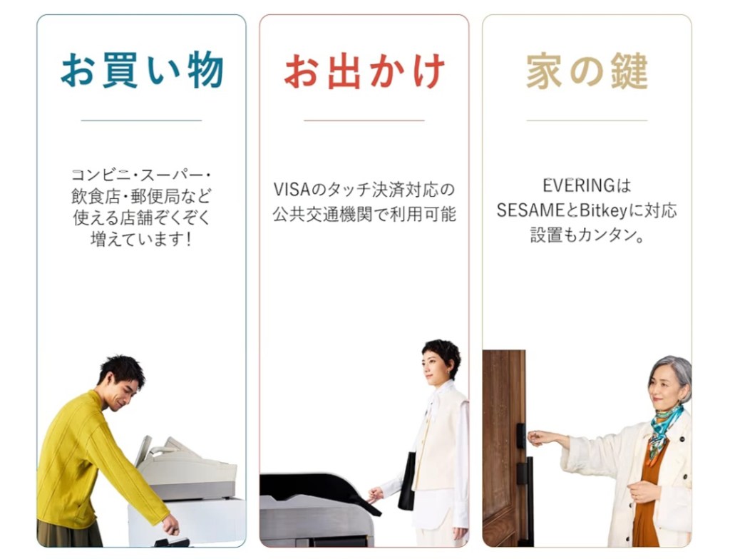 EVERING カラーバリエーション