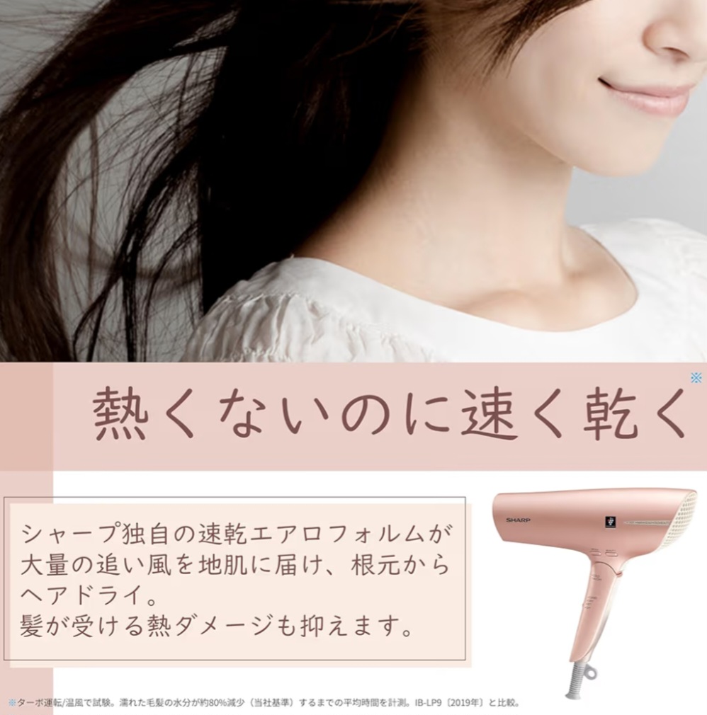 シャープ IB-RP9 外観