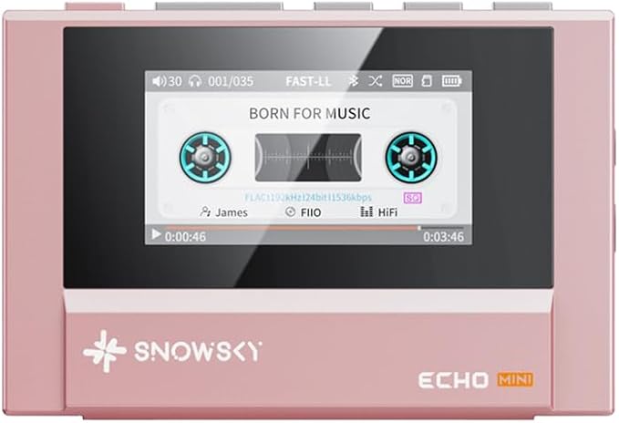 FIIO Snowsky ECHO MINI 側面ボタン