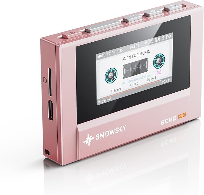 FIIO Snowsky ECHO MINI 使用イメージ