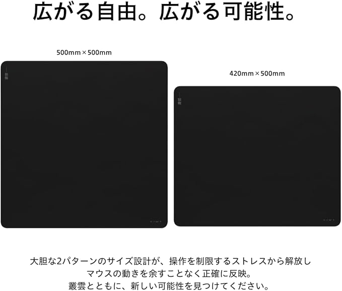 AIM1 叢雲 MURAKUMO デザイン